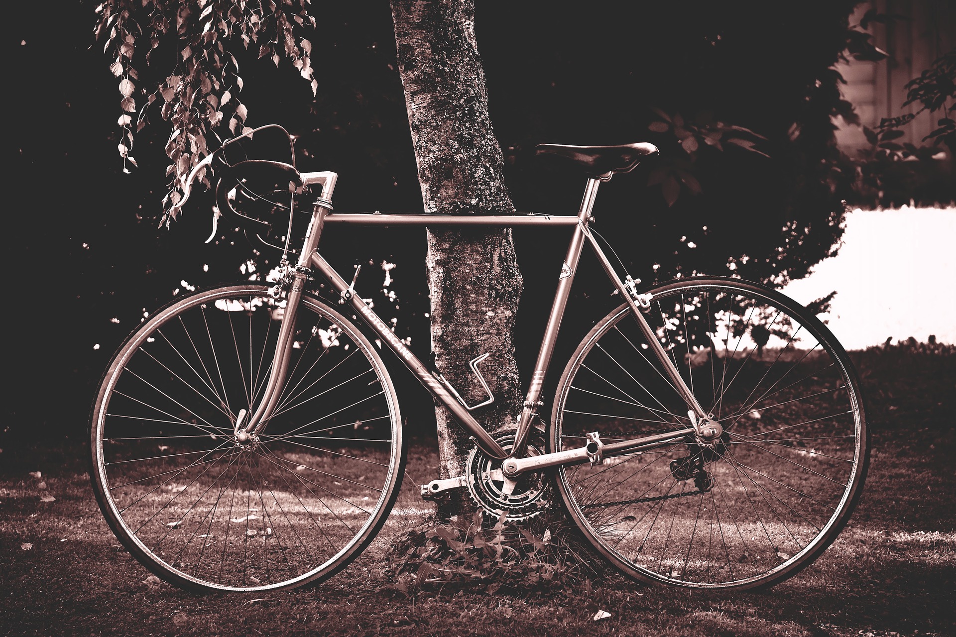 Fahrrad1